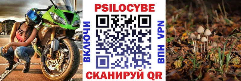 Псилоцибиновые грибы Cubensis  omg tor  Калтан 